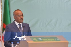 بدوي: “تنمية المناطق الحدودية يعد أولوية قصوى لنا”