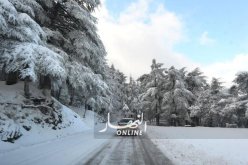 الثلوج تشل حركة المرور بالطريق السيّار على مستوى “الجباحية”