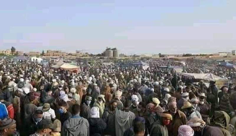 والي تيارت يقرر غلق أسواق المواشي عبر تراب الولاية