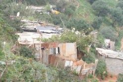 الجماعات الإرهابية تمنع بعض سكان بومرداس من جني الزيتون