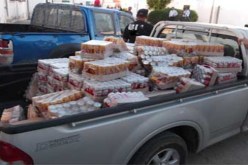 الوادي: حجز أزيد من 10 آلاف قارورة خمر مموهة داخل أسمدة عضوية