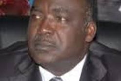 رئيس الإتحاد الافريقي لكرة اليد يحل بالجزائر لحضور فعاليات كأس إفريقيا للأمم