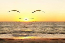 إلى بر الأمان