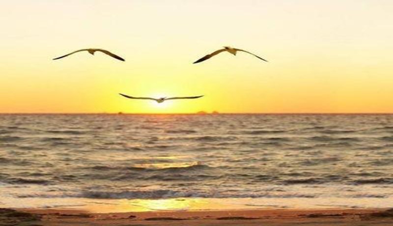 معكم إلى بر الأمان