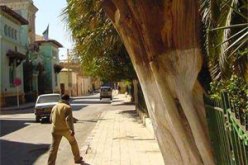 حدث هذا ببسكرة بعد مرور أقل من 72 ساعة عن وقوع الجريمة…الجاني كشف عن هويته حدّاد المنطقة