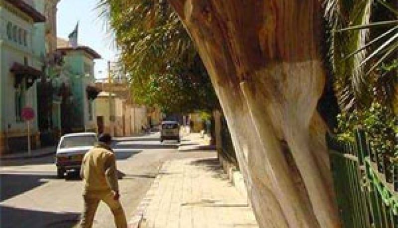 حدث هذا ببسكرة بعد مرور أقل من 72 ساعة عن وقوع الجريمة…الجاني كشف عن هويته حدّاد المنطقة
