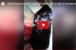 بالفيديو.. العثور على طفل حديث الولادة ألقته والدته داخل مرحاض