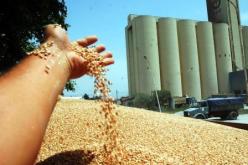 عامان حبسا نافذا في حق مدير ديوان الحبوب وغرامة بـ100 ألف دينار