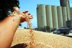 القاضي يؤجل لآخر مرة محاكمة مدير ديوان الحبوب ومجمع سيم