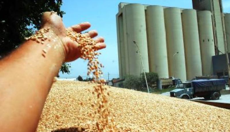 القاضي يؤجل لآخر مرة محاكمة مدير ديوان الحبوب ومجمع سيم