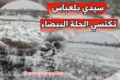 بالصور والفيديو..تساقط كثيف للثلوج بأعالي سيدي بلعباس