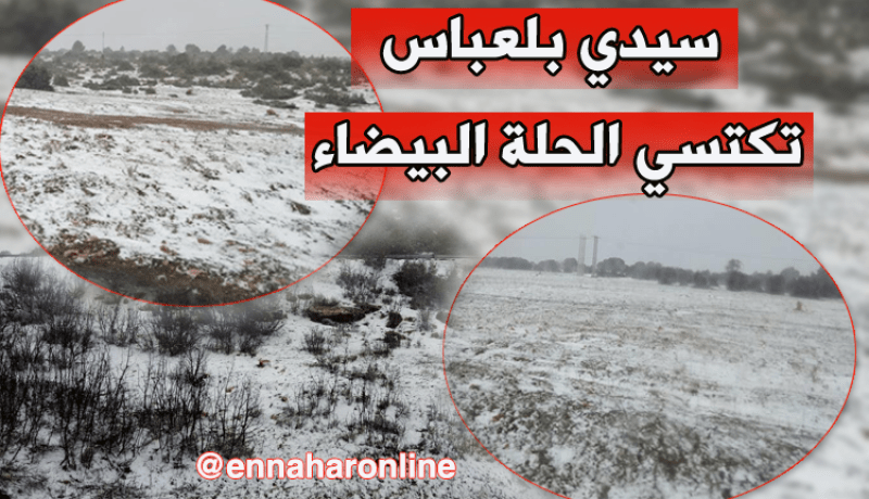 بالصور والفيديو..تساقط كثيف للثلوج بأعالي سيدي بلعباس