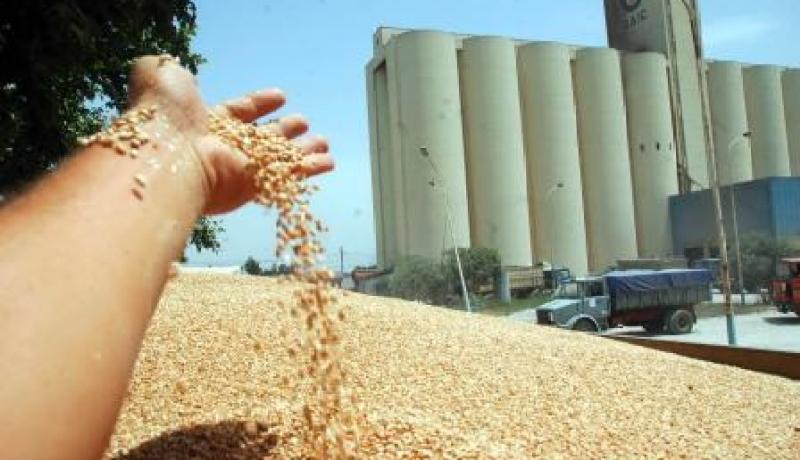 مدير ديوان الحبوب و32 إطارا أمام محكمة العفرون غدا الاثنين