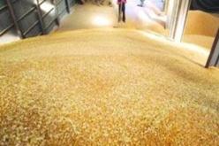 مدير الديوان الوطني للحبوب يدعو من تيارت لدعم سياسة الإنتاج