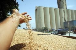 حلّ ديواني OAIC و«أونيلاف» وتحويلهما إلى مؤسسات تجارية!