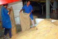 الفضائح التي عرفها قطاع الفلاحة تنهي أيام قاسم في ديوان الحبوب