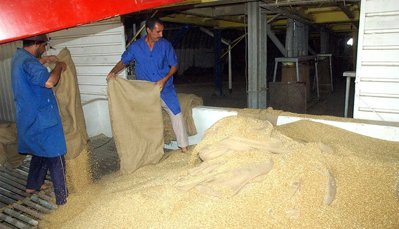 الحبس لرؤساء مصالح بتعاونية الحبوب وأصحاب مؤسسات خاصة في عنابة