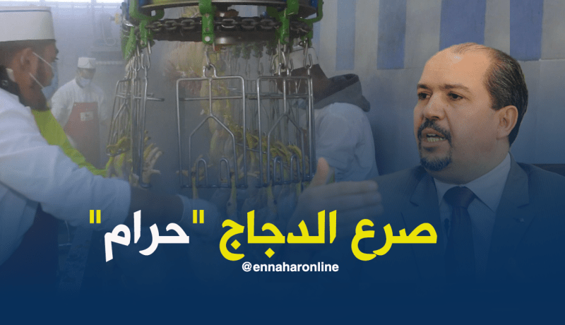 أول رد رسمي لمحمد عيسى حول قضية صرع الدجاج