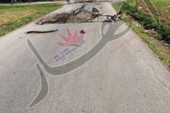 صور أحد ضحايا انفجار قنبلة في موزاية بالبليدة