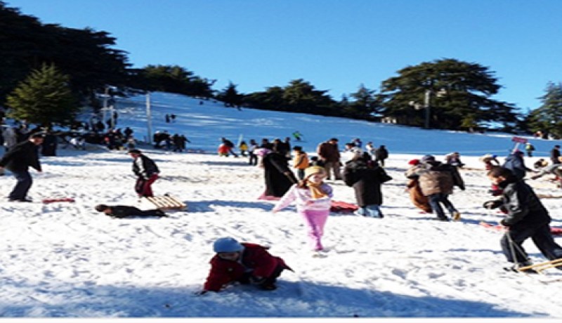 1.6طن من النفايات يخلفها زوار حظيرة الشريعة في البليدة