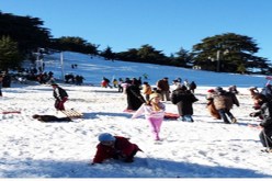 1.6 طن من النفايات يخلفها زوار حظيرة الشريعة في البليدة