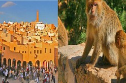5 مليار دج لترميم و إعادة الاعتبار لقلعة الشفة بالبليدة