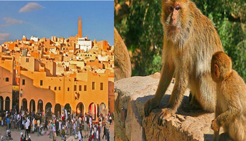 5 مليار دج لترميم و إعادة الاعتبار لقلعة الشفة بالبليدة