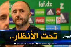 مبعوث من بلماضي الى تونس لمُتابعة هذا الثلاثي