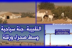 صحراء النقبيبة في ورقلة… محج السيّاح خلال فصل الشتاء