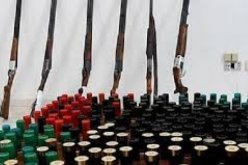 حجز 6 بنادق صيد و18 خرطوشة في تيسمسيلت