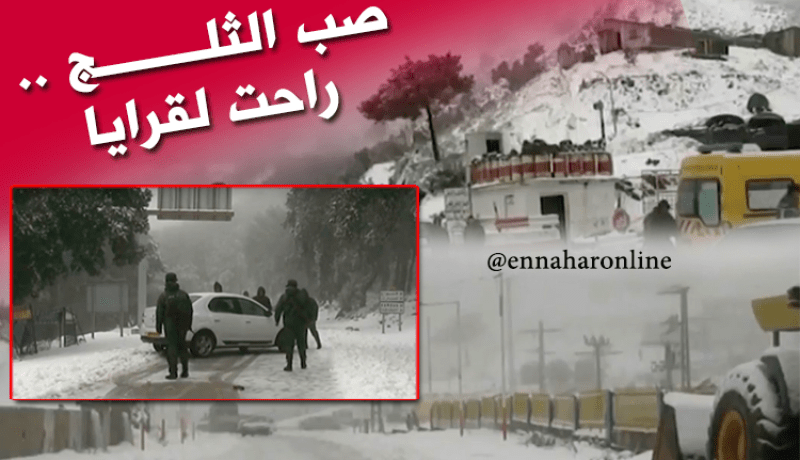 الثلوج تغلق 20 مؤسسة تربوية في سكيكدة
