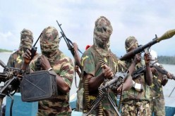 الجيش النيجيري يدعو جماعة بوكو حرام المتطرفة إلى إلقاء السلاح لتسوية الأزمة سياسيا