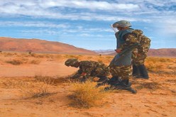 تدمير 5193 لغم ارضي على طول الحدود الشرقية والغربية