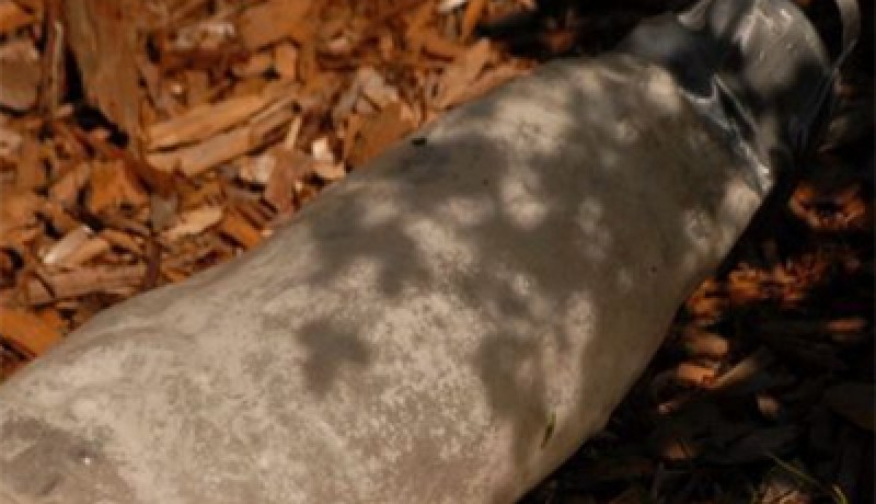 الجيش‮ ‬يحبط اعتداء إرهابيا بالقنابل في‮ ‬تيزي‮ ‬وزو‮ ‬