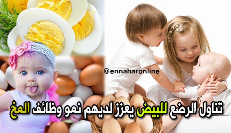 بيضة واحدة للرضع يوميا خلال 6 أشهر تنمّي قدرات المخ
