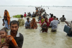 66 ألف شخص من الروهينغا هجروا ميانمار منذ أكتوبر الفارط