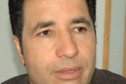 أرنب وعن جدارة