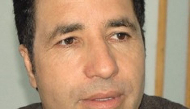 أرنب وعن جدارة