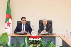 رئيس الدولة يستقبل معاذ بوشارب