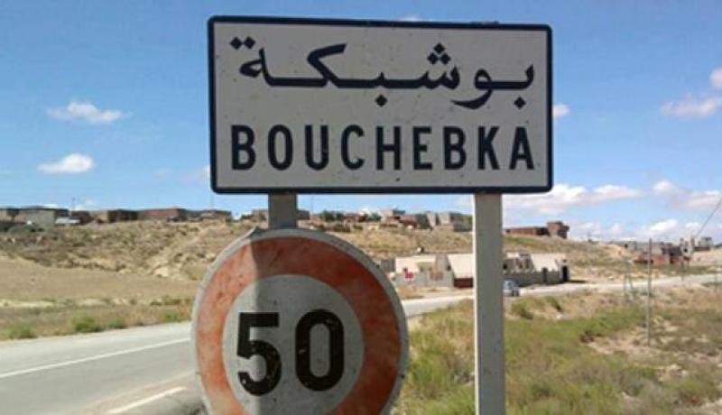 تبسة : مواطنون جزائريون وتونسيون ينظمون حركة إحتجاجية ويغلقون الطريق الدولي بين البلدين