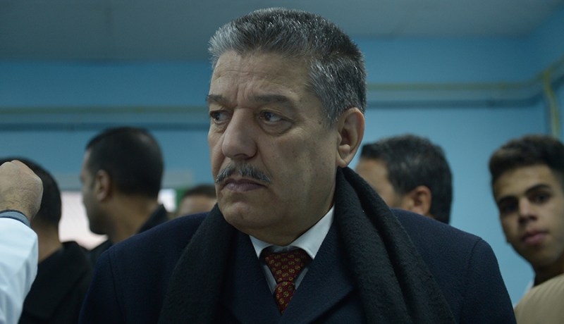 بحث في فائدة الفيتامين د