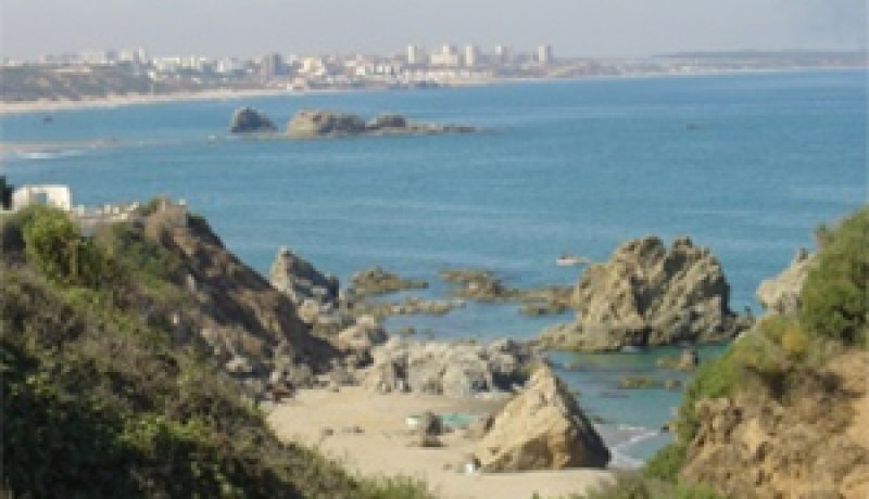 رحلة في ايكوزيوم … بومرادس