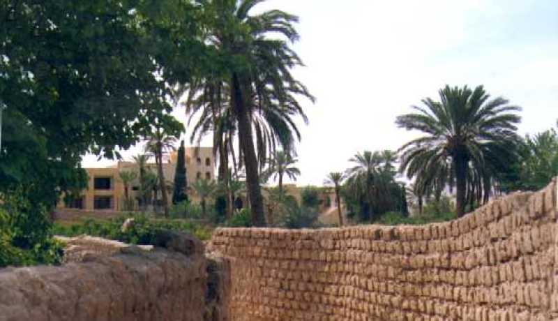 تخصيص 1,1 مليار دينار لحماية مدينة بوسعادة بالمسيلة من الفيضانات