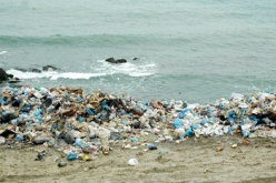 الشريط الساحلي الشرقي لولاية تيبازة مهدد بكارثة بيئية