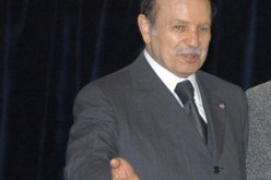 الطاقة الجزائرية لغزة بدون مقابل
