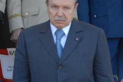 الجزائر لا تزال بخير