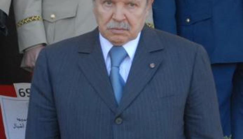 الجزائر لا تزال بخير