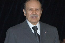 الرئيس بوتفليقة يجدد حرصه على توثيق علاقات التعاون الجزائرية-الصربية