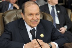 الرئيس بوتفليقة يتلقى التهاني بمناسبة ذكرى أول نوفمبر من طرف كبار المسؤولين في الدولة