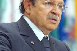 بوتفليقة يؤكد أن الدولة لن تتوانى إطلاقا عن محاسبة كل من تثبت إدانته قانونيا